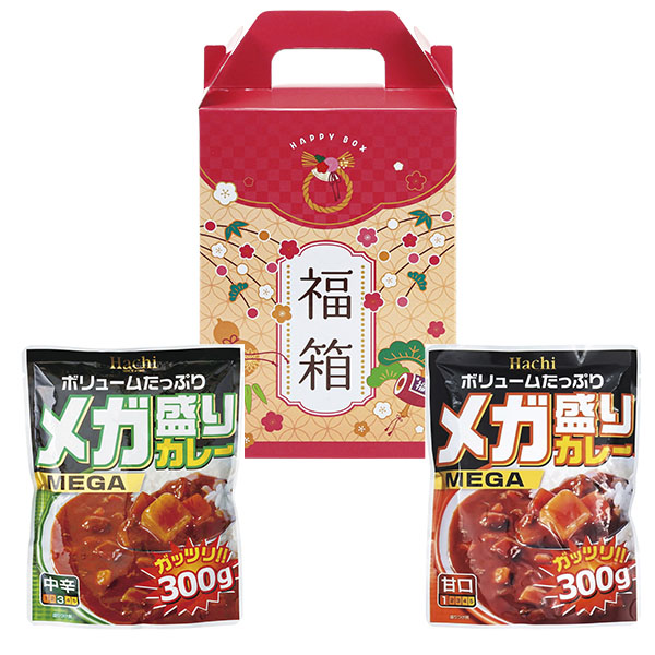 ʡȢ �ᥬ���ꥫ�졼2�����å�