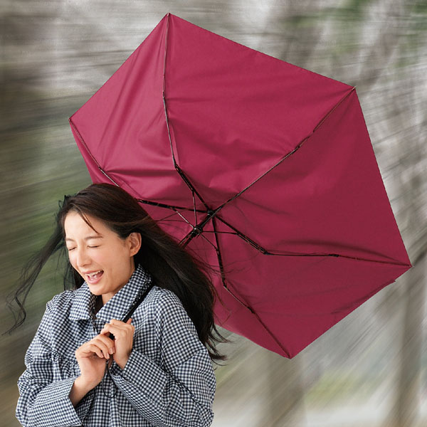 折りたたみ耐風傘1本