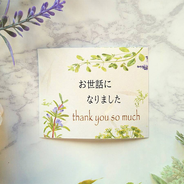 メッセージdeBOXショコラ メッセージdeBOXショコラ