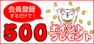Ͽ500ݥȥץ쥼